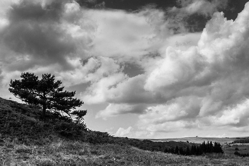 2018_08_08_Auvergne  (0021).jpg - Sanctuaire de Vassivière, Auvergne (Aout 2018)